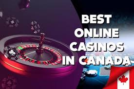 Best Live Casino in Canada Play and Win Big