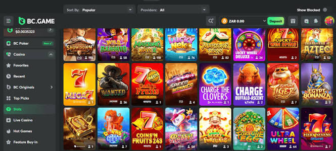 Explore BC.Game in Pakistan - A New Era of Online Gaming